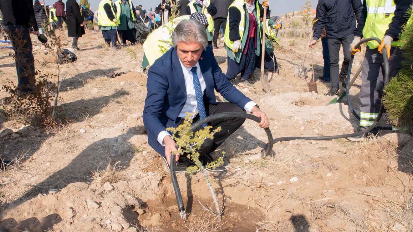 Selçuk Üniversitesi, Milli Ağaçlandırma Günü’nde 500 fidanı toprakla buluşturdu